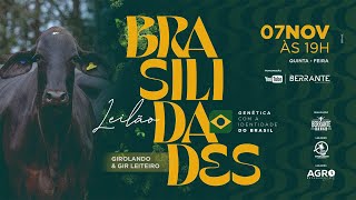 🔸 LEILÃO BRASILIDADES 🔸Bezerras e Novilhas Prenhes 🐄🐮⏳ 07 de novembro quintafeira  às 19h [upl. by Adnir443]