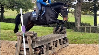 Candy Hickstead XC schooling [upl. by Luhe]