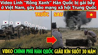 Chuyên gia Trung Quốc tiết lộ chiến thuật của VN diệt Lính Hàn khiến khán giả Trung nổi da gà [upl. by Livvyy380]