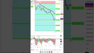 Auto Buy Sell Indicator   best tradingview indicator   Telugu Trader Surya  buy sell signal [upl. by Durrace]