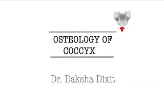 OSTEOLOGY OF COCCYX [upl. by Einnos971]