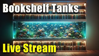 LIVE The Challenges of Keeping Bookshelf Tanks  Plus a HUGE Announcement [upl. by Codee871]