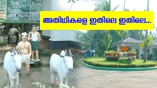 Kerala Farm Tourism Welcomes Christmas Season  Haritham Sundaram  Kaumudy TV [upl. by Diarmit]