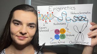 ASMR Teaching You Genetics  Epigenetics Imprinting XChromosome Inactivation [upl. by Adnilasor153]