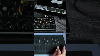 Deckard’s Dream Mk2 MPE control by Roli Seaboard RISE 2 with Erica Synths Nightverb synthesizer [upl. by Bevus381]