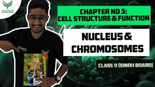 Nucleus And ChromosomesChapter 3Class 11 shaheencoachingcentersindhboard biologykarachiboard [upl. by Gerard]