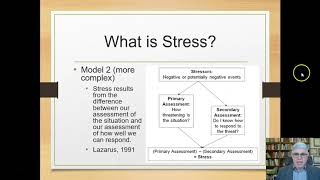 Three Models of Stress How Humans Respond to Pressure [upl. by Walkling147]