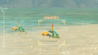 ゼルダの伝説 ティアーズ オブ ザ キングダム 実況プレイPart117 [upl. by Glassman]