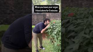 When you leave your vegan friend alone [upl. by Nita]