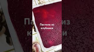 Использовать замороженные ягоды для пастилы просто Любят дети и взрослые к чаю ПП food [upl. by Oaks]