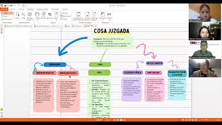 cosa juzgada y debido proceso [upl. by Delmore843]