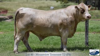 Lot 40 Mountview Tennessee T2 PS [upl. by Culberson689]