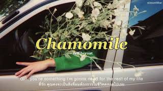 Jeff Bernat  Chamomile thaisub [upl. by Cherrita]