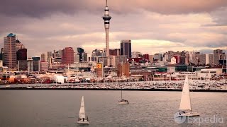 Auckland  City Video Guide [upl. by Chin161]