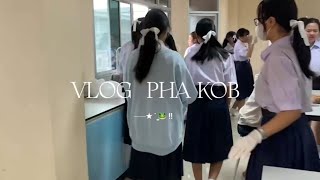 VLOG PHA KOB 🐸✨ [upl. by Chic]