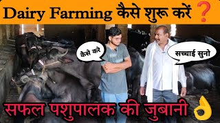 Dairy Farming कैसे शुरू करें❓how to start dairy farm business in india [upl. by Niamert]