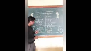 Gram Positive amp Gram negative bacteria basic differences Cell wall Techoic acids LPS Flagella [upl. by Aneelad305]