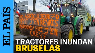 BRUSELAS  Tractores y huevos así protestan los agricultores frente al Parlamento Europeo  EL PAÍS [upl. by Naggem]