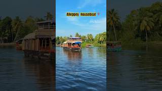 Alleppey Houseboat  Kerala Backwaters 2024 travel alappuzha houseboat [upl. by Ydnak430]