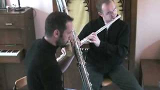 flute octobasse neel [upl. by Jelle]