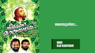 Anayunnitha  Sung by Biju narayanan  Neeyenne Maranno Nadha  HD Song [upl. by Bywaters946]