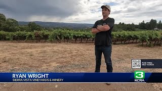 How firefighters helped save Placerville winery from 2021 Caldor Fire [upl. by Ylebmik]