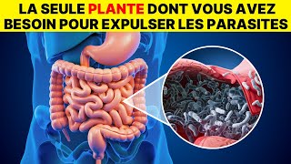 Seulement 2 cuillères Expulsent tous les vers et parasites de votre corps [upl. by Adnaw925]