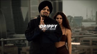 Drippy  Slowed  Reverb   Sidhu Moose Wala  Mxrci  AR Paisley [upl. by Kcirdla522]