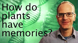 Plant epigenetics do plants have a memory  Martin Howard 🧬🌱 [upl. by Cogan]