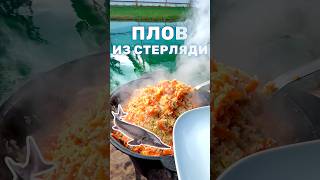 Плов из рыбы с пруда на участке Плов с мясом стерляди приготовление в казане на костре плов [upl. by Hibben]