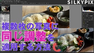 複数枚の写真に同じ調整を適用する方法のご紹介【かんたん一括調整】 [upl. by Anchie]