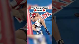 NONITO DONAIRE THE KING OF LEFT HOOK boxing boxingnews boxingtraining fyp foryou fypシ゚viral [upl. by Peednus]