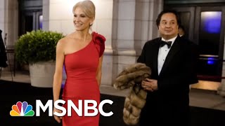 The Bizarre World Of Kellyanne Conway amp George Conway  Deadline  MSNBC [upl. by Vallery256]