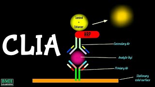 Chemiluminiscence Immunoassay  CLIA Immunoassay [upl. by Rasmussen]