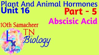 10th std Biology Unit 16 Plant and animal hormones Abscisic Acid Part 5 Samacheer Kalvi TN [upl. by Settera]