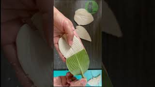 Leaf art  Leaf casting  art and craft projects  DIY [upl. by Isiad]