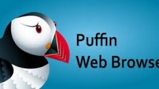 Puffin Web Browser Mod Apk  Bedava Nasıl Kullanılır [upl. by Rosemonde]