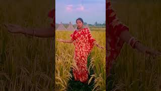 song hindisong music bollywood shortsvideo [upl. by Hedveh]