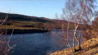 The Speyside Way from Boat of Garten to Grantown on Spey 1st Feb 2011 [upl. by Latham195]