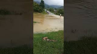 Overflow Kansalakan Banwage Guihulngan City Negros Oriental beats bridge overflow [upl. by Zondra108]