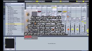 HoRNet AutoGain overview [upl. by Eelrihs]