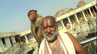 Feeding thousands of Aangis of Sholingur Hill Temple [upl. by Kajdan]