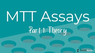 MTT Assays Part 1  Assay Overview amp Theory [upl. by Etra]