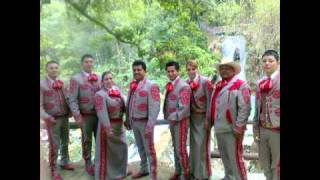 mariachi las tequileras [upl. by Lyudmila423]