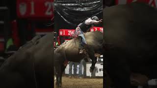 William Barrows is the 2024 Canadian Champion Bull Rider ‌📸 hanginghorses ‌rodeo bullriding [upl. by Htiaf]