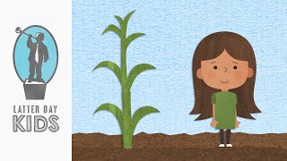 Faith is Like Planting a Seed  Animated Scripture Lesson for Kids Updated [upl. by Hannis345]