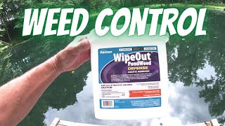 Controlling Pond Weeds [upl. by Jezebel66]