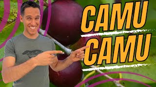 Benefits of Camu Camu  Amazonian Vitamin C Superpower [upl. by Annerb]