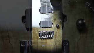 Ibanez RGIX20FESMFSK Iron Label Limited Run in Foggy Stained Black nafirimusic [upl. by Ethelyn]