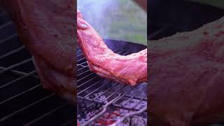 BBQ ribs  the best ribs recipe [upl. by Peters]